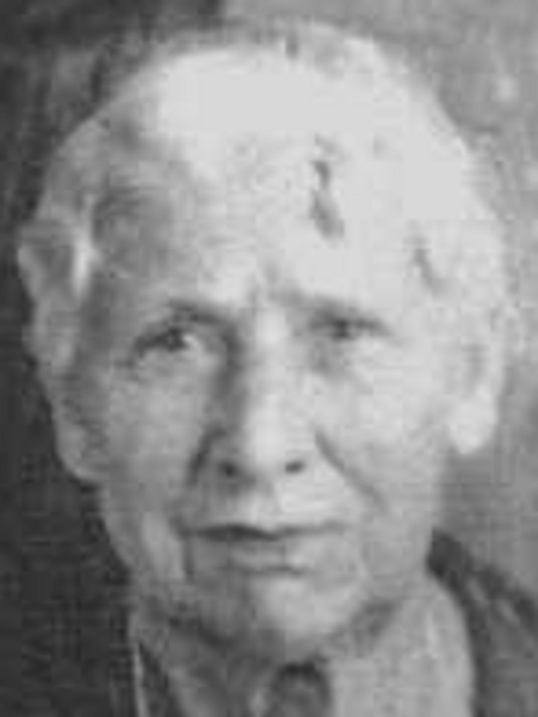 Mary Ellen Eardley (1859 - 1943) Profile
